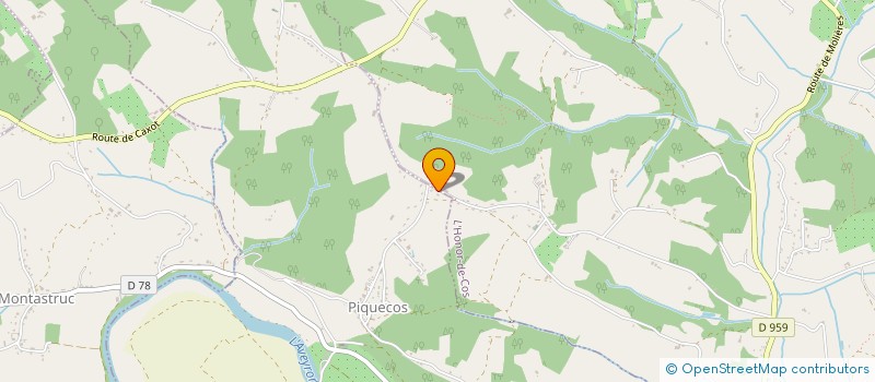 localisation de l'entreprise MONSIEUR ALAIN VERGNES  MONTASTRUC