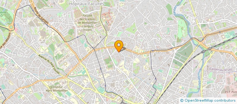 localisation de l'entreprise MONSIEUR ALAIN VICENTE à MONTPELLIER