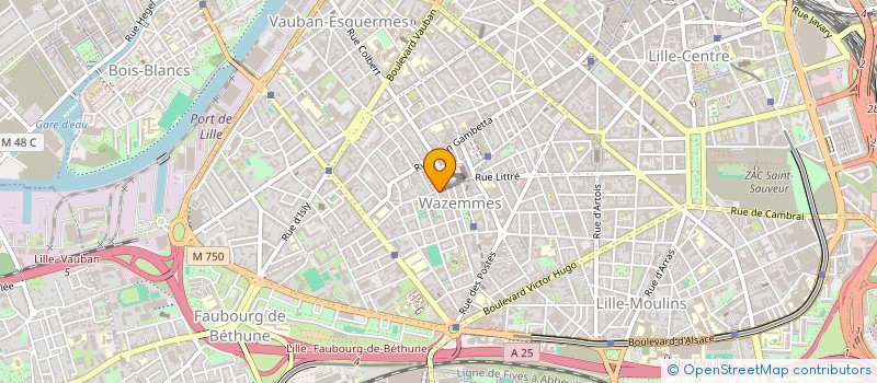 localisation de l'entreprise MONSIEUR ALAIN WATTRELOT à LILLE