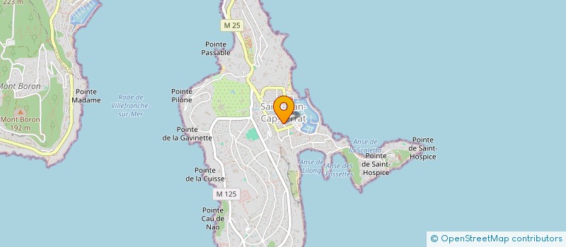 localisation de l'entreprise MONSIEUR ALAIN-XAVIER BRIATTE  SAINT-JEAN-CAP-FERRAT