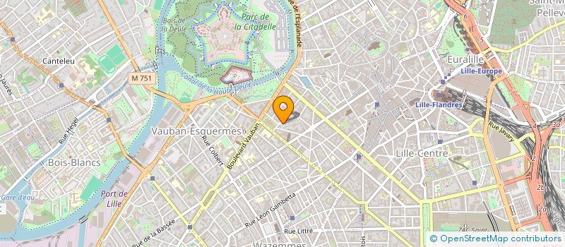 localisation de l'entreprise MONSIEUR ALAN LULKOWSKI  LILLE