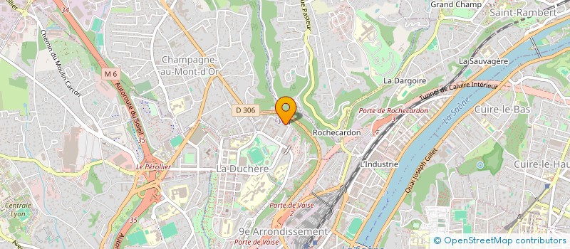 localisation de l'entreprise MONSIEUR ALASSANE FALL  LYON