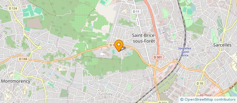 localisation de l'entreprise MONSIEUR ALASSANE HANE  SAINT-BRICE-SOUS-FORET