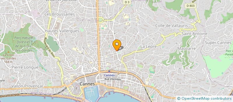 localisation de l'entreprise MONSIEUR ALASSANE NIANG à CANNES