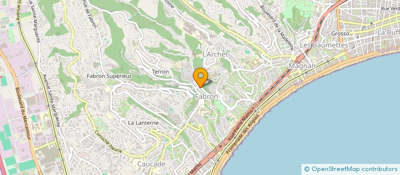 localisation de l'entreprise MONSIEUR ALASSANE PLEA à NICE