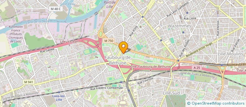 localisation de l'entreprise MONSIEUR ALBARAA HAMZA ABDALLA à LILLE