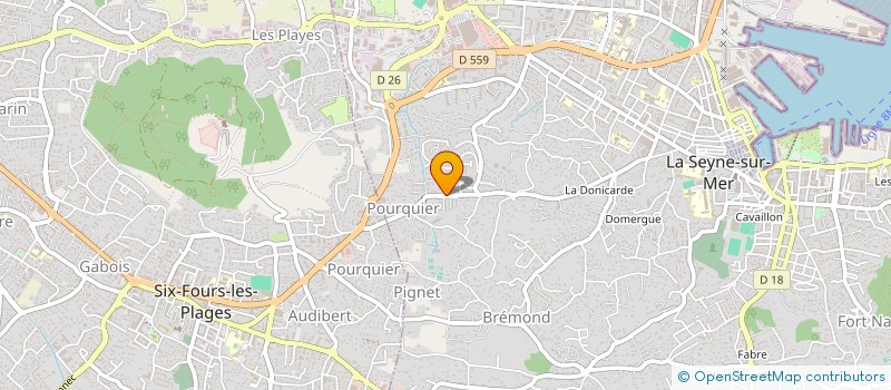 localisation de l'entreprise MONSIEUR ALBERT COGOTTI  LA SEYNE-SUR-MER