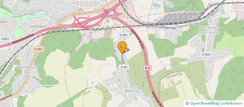 localisation de l'entreprise MONSIEUR ALBERT DEMOFSQUI  BENING-LES-SAINT-AVOLD