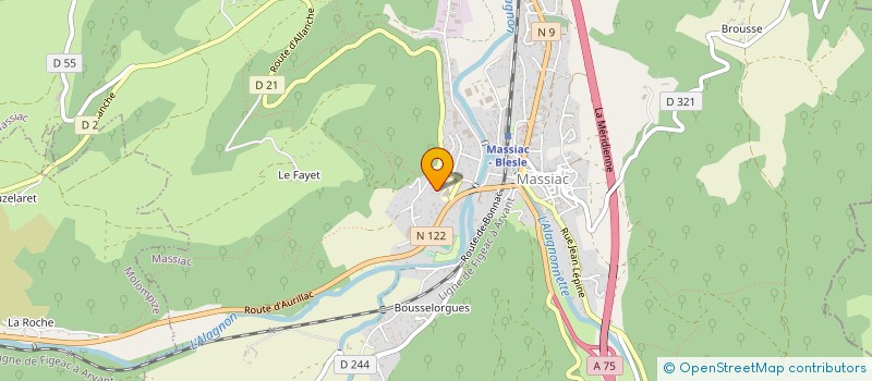 localisation de l'entreprise MONSIEUR ALBERT DUPUY à MASSIAC