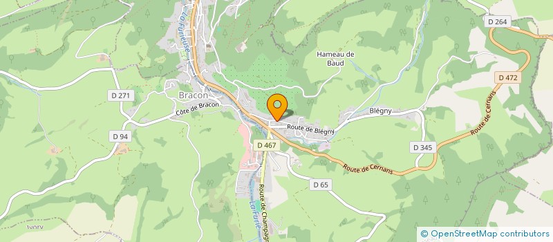 localisation de l'entreprise MONSIEUR ALBERT MICHEL  SALINS-LES-BAINS