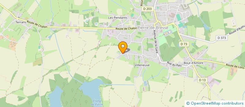localisation de l'entreprise MONSIEUR ALBERT REMOND à PIERRE-DE-BRESSE