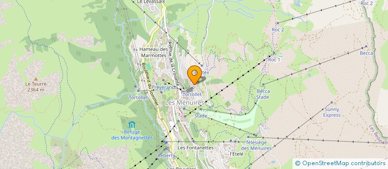 localisation de l'entreprise MONSIEUR ALBERT ROCARD  LES BELLEVILLE