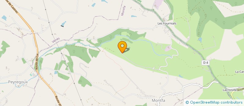 localisation de l'entreprise MONSIEUR ALBERT SALVY  MONTFA