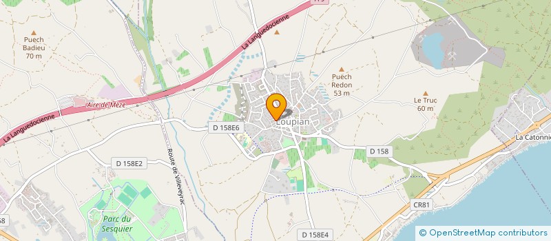 localisation de l'entreprise MONSIEUR ALBERT TEDESCHI  LOUPIAN