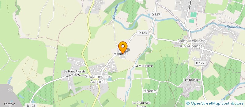 localisation de l'entreprise MONSIEUR ALBERT THOMAS à SOULAINES-SUR-AUBANCE
