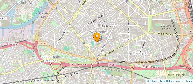 localisation de l'entreprise MONSIEUR ALBERT WABELAWANDI  LILLE