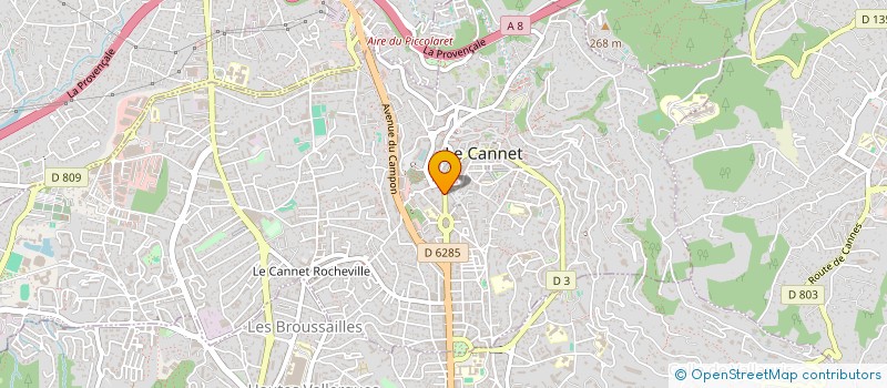 localisation de l'entreprise MONSIEUR ALBERTO DE SOUSA CASTRO à LE CANNET