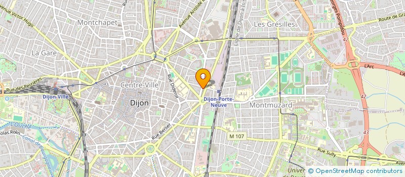 localisation de l'entreprise MONSIEUR ALBERTO FLORES à DIJON