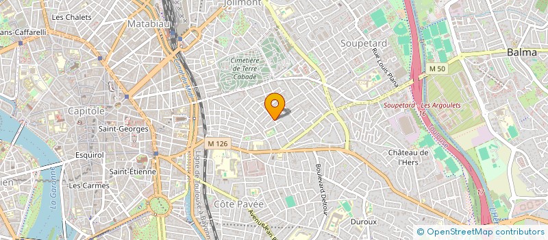 localisation de l'entreprise MONSIEUR ALBERTO RICCI  TOULOUSE