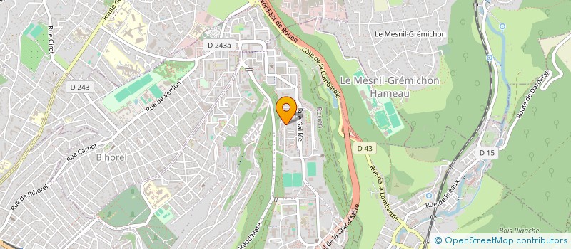 localisation de l'entreprise MONSIEUR ALBINO GOMES  ROUEN