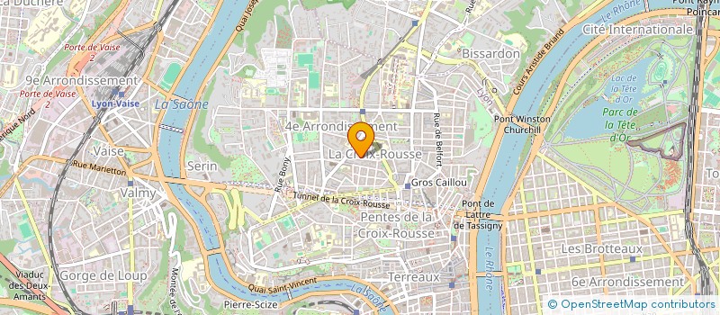 localisation de l'entreprise MONSIEUR ALBINO SANTOS GALEANO  VILLEURBANNE