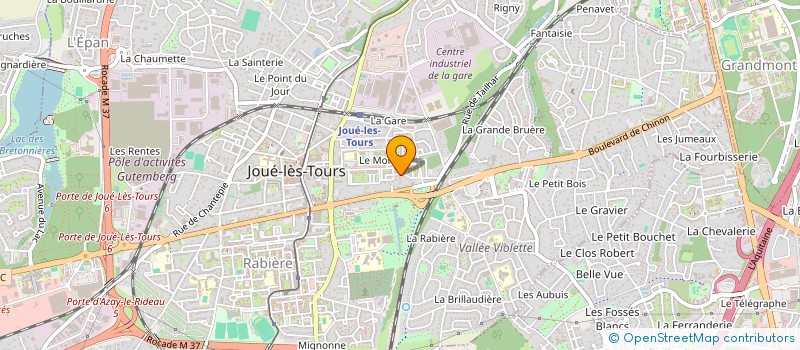 localisation de l'entreprise MONSIEUR ALCIDE CONGOLELA  JOUE-LES-TOURS