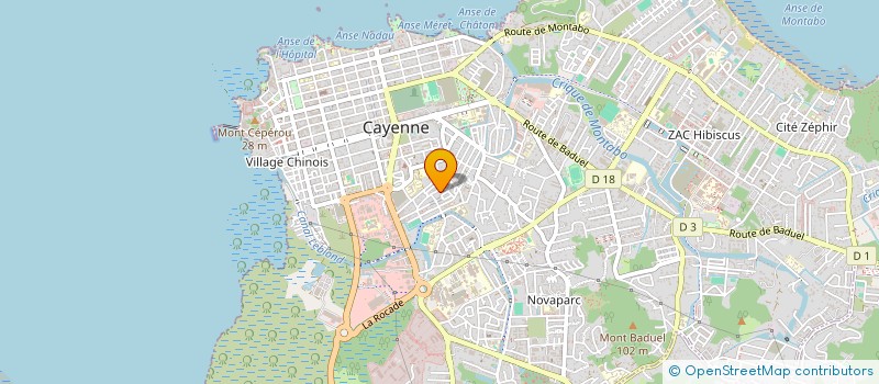 localisation de l'entreprise MONSIEUR ALCION ARAUJO DA SILA  CAYENNE