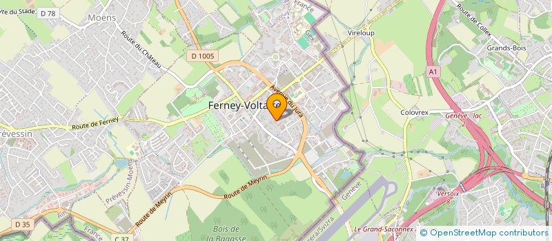 localisation de l'entreprise MONSIEUR ALDEN MAIN à FERNEY-VOLTAIRE