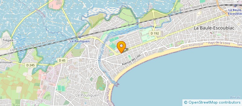 localisation de l'entreprise MONSIEUR ALDO SIBANI à LA BAULE-ESCOUBLAC