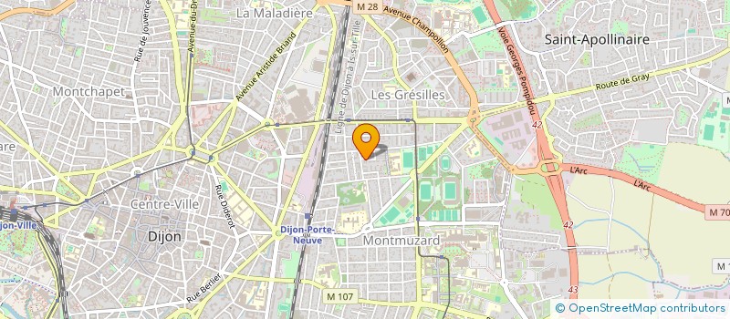 localisation de l'entreprise MONSIEUR ALEJANDRO ANDIA  DIJON