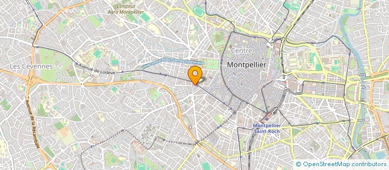 localisation de l'entreprise MONSIEUR ALEJANDRO HERNANDEZ PENA à MONTPELLIER