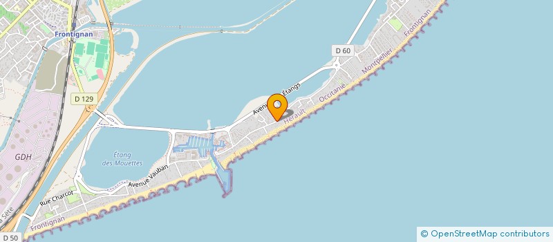 localisation de l'entreprise MONSIEUR ALEJANDRO SALGADO CASTRO  FRONTIGNAN