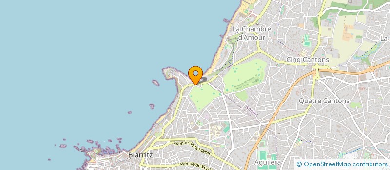 localisation de l'entreprise MONSIEUR ALEKSANDAR JEVTIC  BIARRITZ
