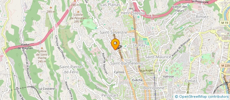 localisation de l'entreprise MONSIEUR ALEKSANDAR RADOSAVLJEVIC à NICE