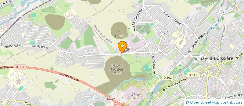 localisation de l'entreprise MONSIEUR ALENZO TERNUS à BRUAY-LA-BUISSIERE