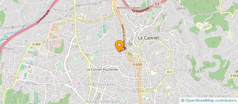 localisation de l'entreprise MONSIEUR ALESSANDRO FARINA à LE CANNET