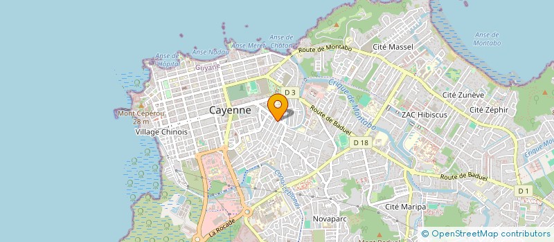 localisation de l'entreprise MONSIEUR ALEX ALBINA  CAYENNE