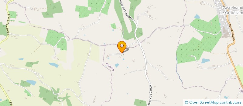 localisation de l'entreprise MONSIEUR ALEX DELECLUSE-LEYNAUD  PAILLOLES