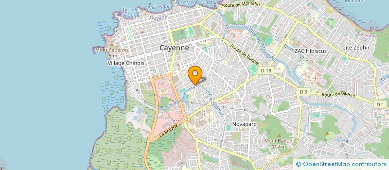 localisation de l'entreprise MONSIEUR ALEX LEBLANC  CAYENNE