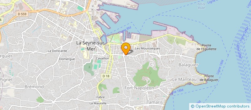 localisation de l'entreprise MONSIEUR ALEX-NICOLAE CIUCIU  LA SEYNE-SUR-MER