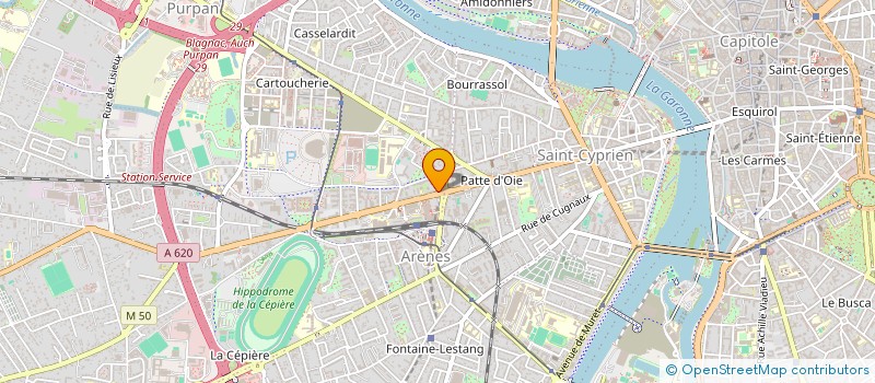 localisation de l'entreprise MONSIEUR ALEXANDER TURTAK à TOULOUSE