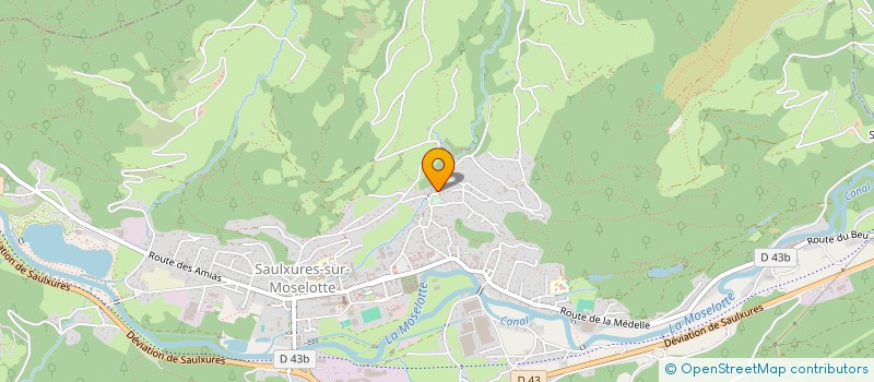 localisation de l'entreprise MONSIEUR ALEXANDER TYNYANSKIKH  SAULXURES-SUR-MOSELOTTE