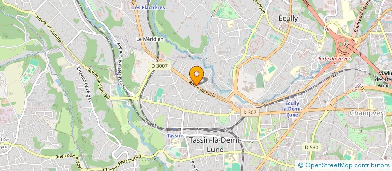 localisation de l'entreprise MONSIEUR ALEXANDRE ADAM  TASSIN-LA-DEMI-LUNE