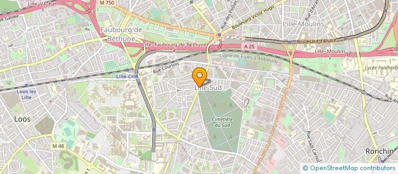 localisation de l'entreprise MONSIEUR ALEXANDRE BIDAULT à LILLE