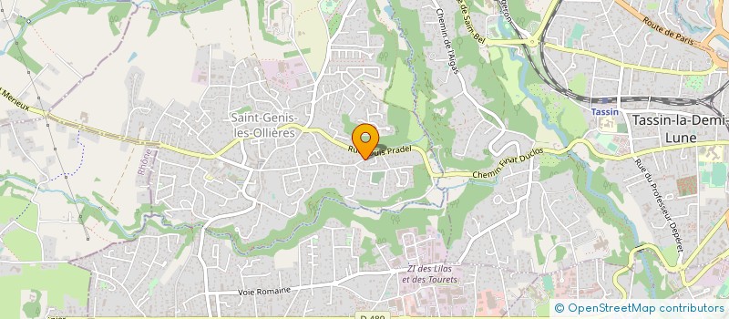 localisation de l'entreprise MONSIEUR ALEXANDRE BOYER FAYSSE à TASSIN-LA-DEMI-LUNE