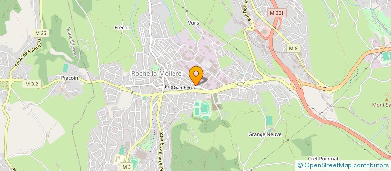 localisation de l'entreprise MONSIEUR ALEXANDRE DA SILVA  ROCHE-LA-MOLIERE