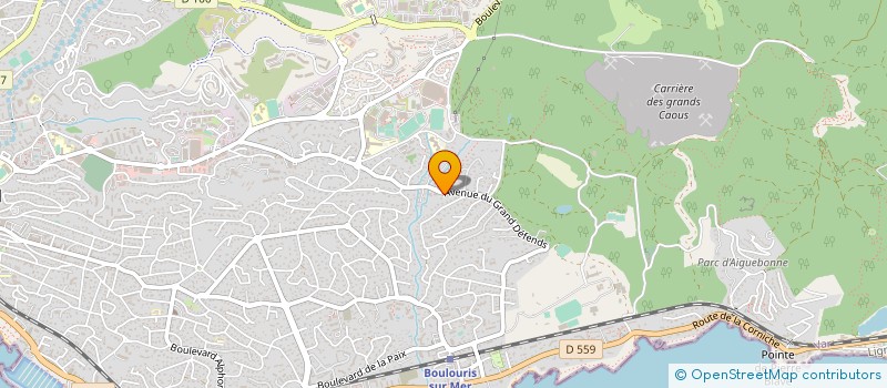 localisation de l'entreprise MONSIEUR ALEXANDRE DELAUNAY  SAINT-RAPHAEL