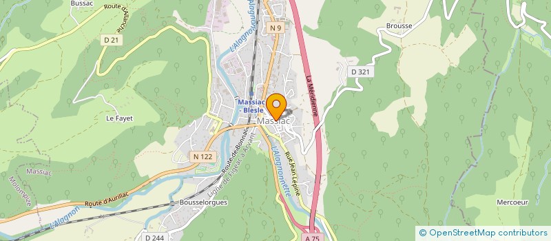 localisation de l'entreprise MONSIEUR ALEXANDRE DELL'ORTO à MASSIAC