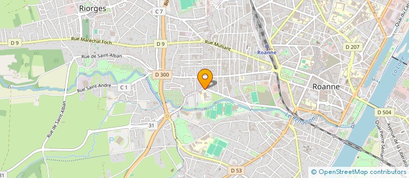 localisation de l'entreprise MONSIEUR ALEXANDRE DOMINE à ROANNE