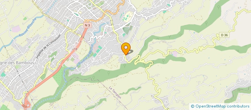 localisation de l'entreprise MONSIEUR ALEXANDRE DOMITILE  LE TAMPON